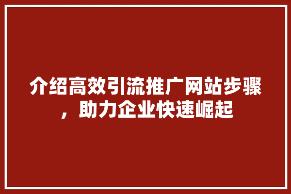介绍高效引流推广网站步骤，助力企业快速崛起