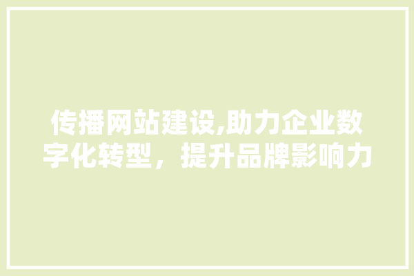 传播网站建设,助力企业数字化转型，提升品牌影响力