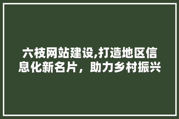 六枝网站建设,打造地区信息化新名片，助力乡村振兴