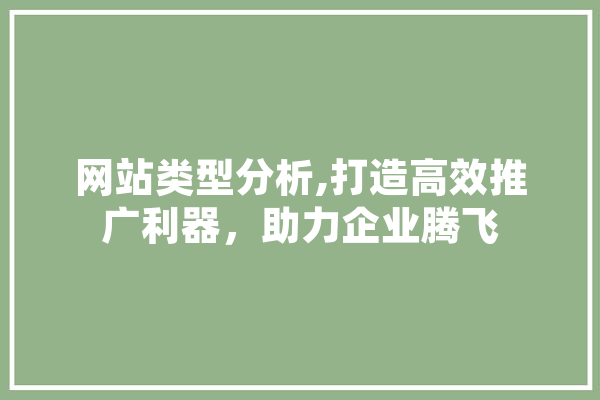 网站类型分析,打造高效推广利器，助力企业腾飞