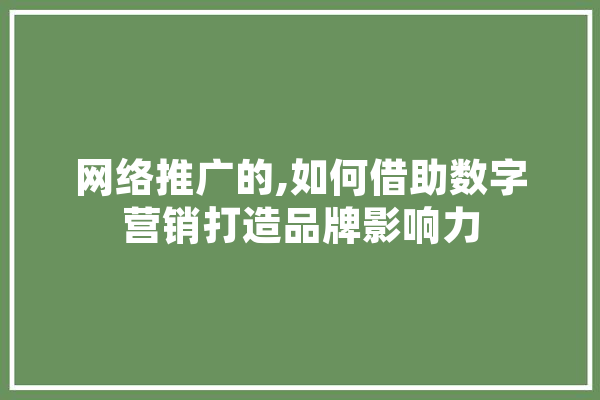 网络推广的,如何借助数字营销打造品牌影响力