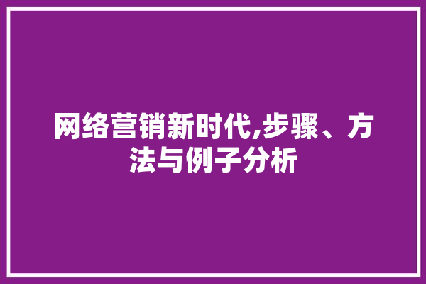网络营销新时代,步骤、方法与例子分析