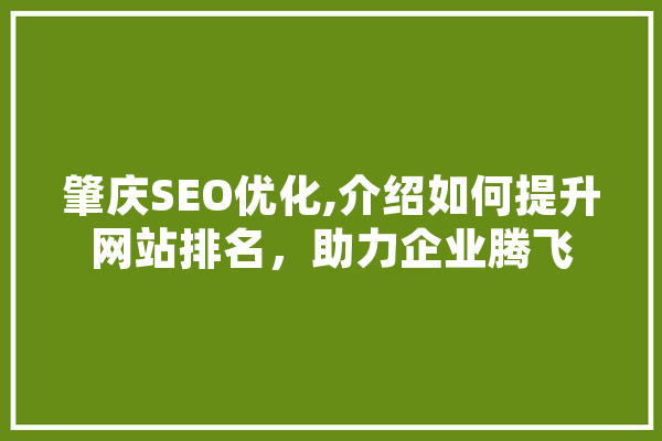 肇庆SEO优化,介绍如何提升网站排名，助力企业腾飞