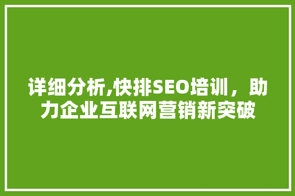 详细分析,快排SEO培训，助力企业互联网营销新突破