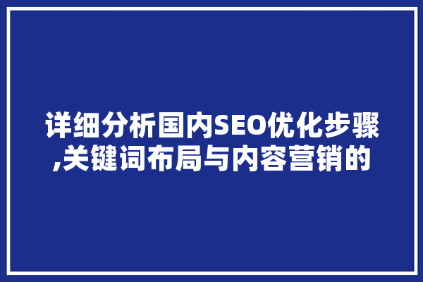 详细分析国内SEO优化步骤,关键词布局与内容营销的艺术