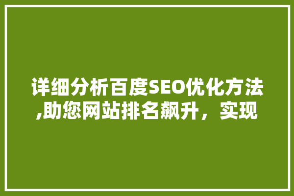 详细分析百度SEO优化方法,助您网站排名飙升，实现高效流量转化