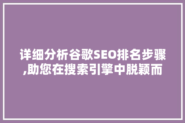 详细分析谷歌SEO排名步骤,助您在搜索引擎中脱颖而出