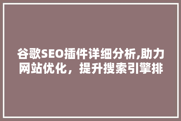 谷歌SEO插件详细分析,助力网站优化，提升搜索引擎排名