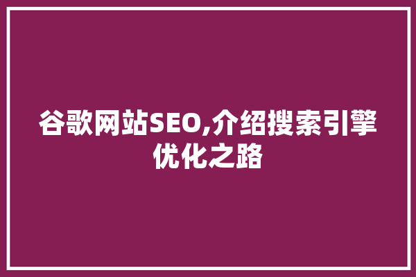 谷歌网站SEO,介绍搜索引擎优化之路