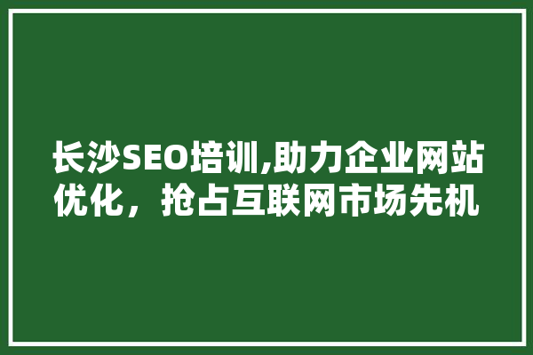 长沙SEO培训,助力企业网站优化，抢占互联网市场先机