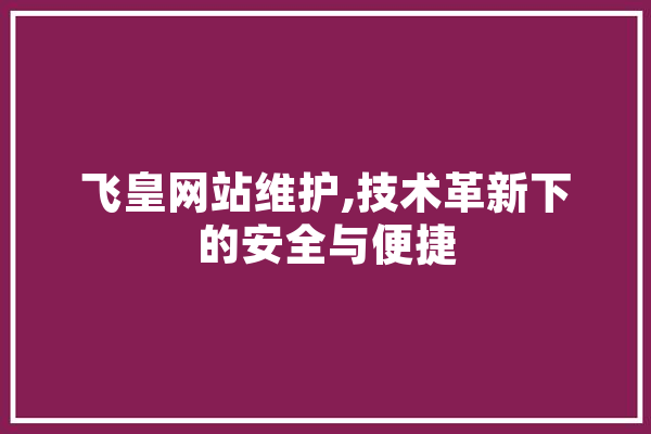 飞皇网站维护,技术革新下的安全与便捷