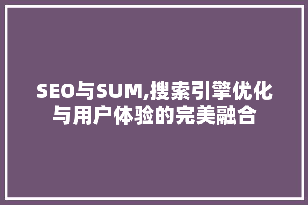 SEO与SUM,搜索引擎优化与用户体验的完美融合 云服务