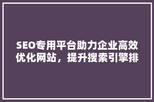 SEO专用平台助力企业高效优化网站，提升搜索引擎排名
