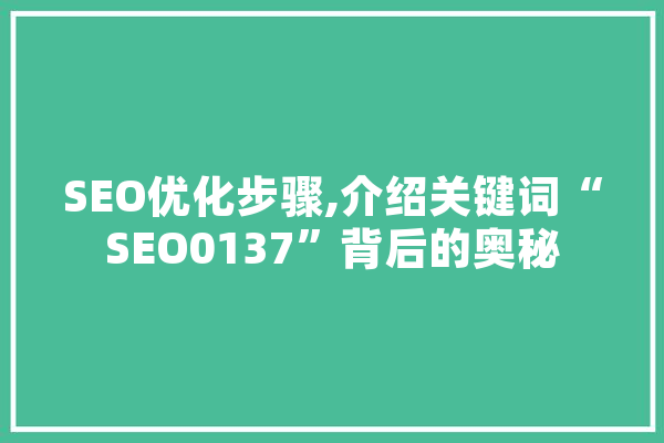 SEO优化步骤,介绍关键词“SEO0137”背后的奥秘