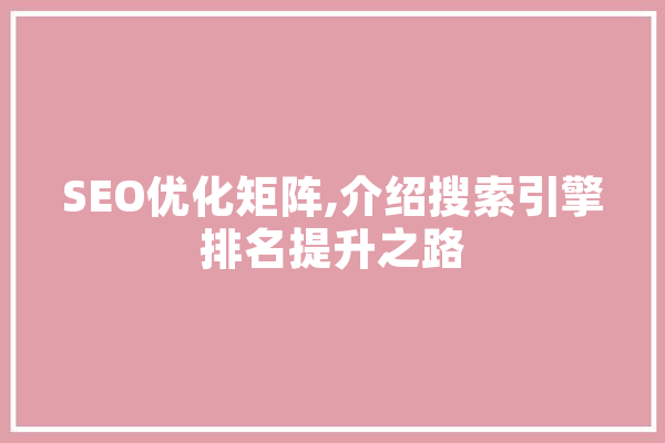 SEO优化矩阵,介绍搜索引擎排名提升之路 云服务