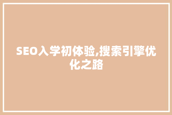 SEO入学初体验,搜索引擎优化之路