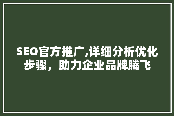 SEO官方推广,详细分析优化步骤，助力企业品牌腾飞