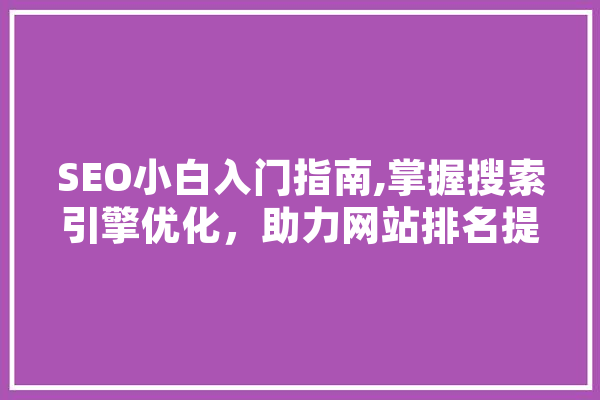 SEO小白入门指南,掌握搜索引擎优化，助力网站排名提升
