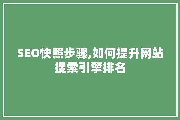 SEO快照步骤,如何提升网站搜索引擎排名
