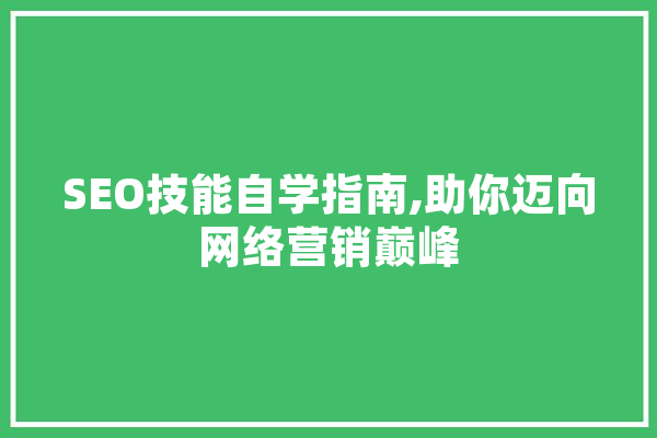 SEO技能自学指南,助你迈向网络营销巅峰