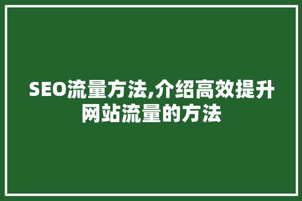 SEO流量方法,介绍高效提升网站流量的方法 文字写作