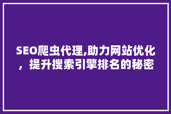 SEO爬虫代理,助力网站优化，提升搜索引擎排名的秘密武器 计算机
