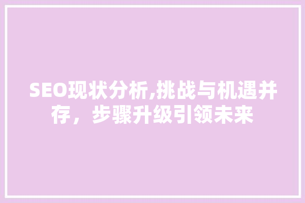 SEO现状分析,挑战与机遇并存，步骤升级引领未来