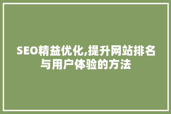 SEO精益优化,提升网站排名与用户体验的方法
