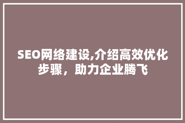 SEO网络建设,介绍高效优化步骤，助力企业腾飞