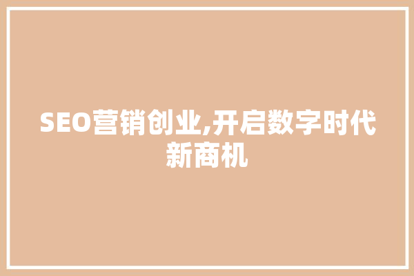 SEO营销创业,开启数字时代新商机
