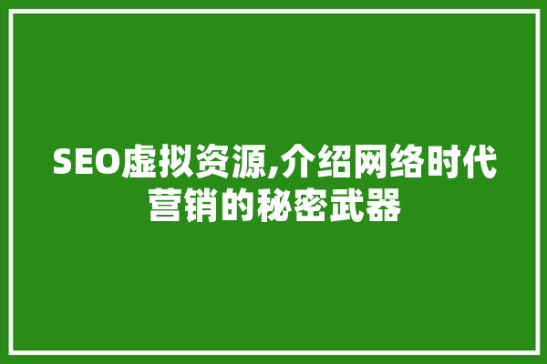 SEO虚拟资源,介绍网络时代营销的秘密武器