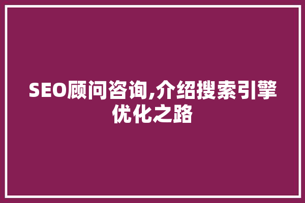 SEO顾问咨询,介绍搜索引擎优化之路 AI快讯