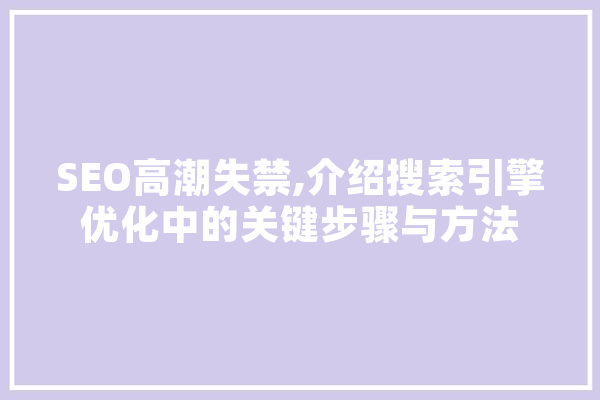 SEO高潮失禁,介绍搜索引擎优化中的关键步骤与方法