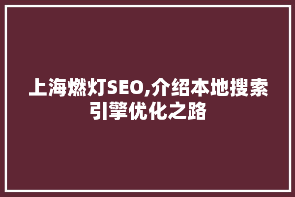 上海燃灯SEO,介绍本地搜索引擎优化之路
