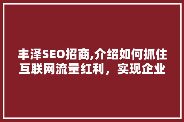 丰泽SEO招商,介绍如何抓住互联网流量红利，实现企业转型升级