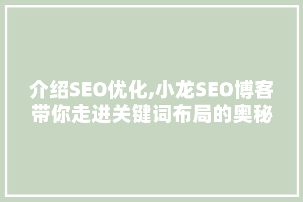 介绍SEO优化,小龙SEO博客带你走进关键词布局的奥秘