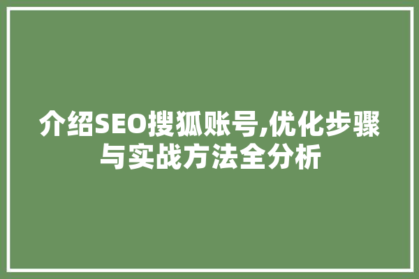 介绍SEO搜狐账号,优化步骤与实战方法全分析