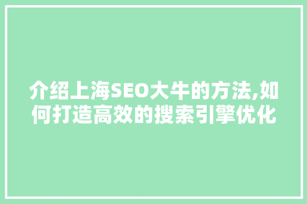 介绍上海SEO大牛的方法,如何打造高效的搜索引擎优化步骤