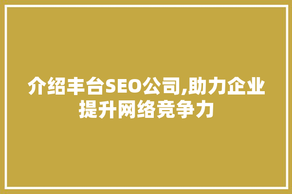 介绍丰台SEO公司,助力企业提升网络竞争力