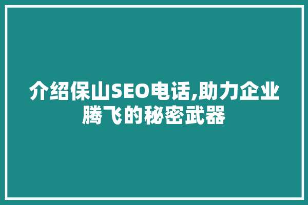 介绍保山SEO电话,助力企业腾飞的秘密武器
