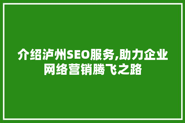 介绍泸州SEO服务,助力企业网络营销腾飞之路 绘影字幕