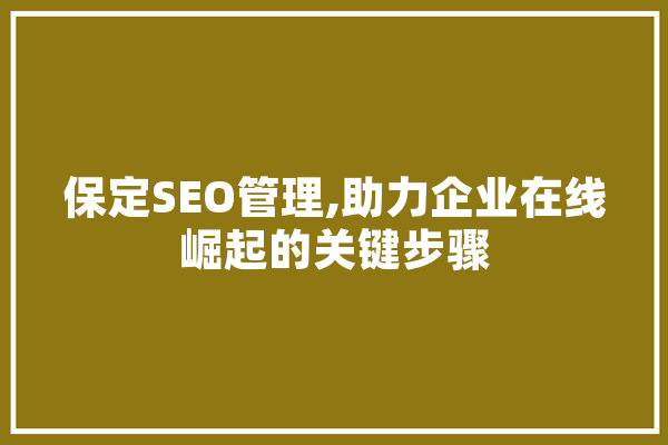 保定SEO管理,助力企业在线崛起的关键步骤
