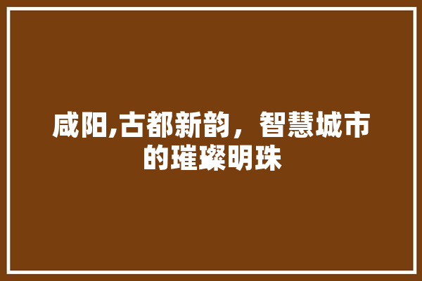 咸阳,古都新韵，智慧城市的璀璨明珠