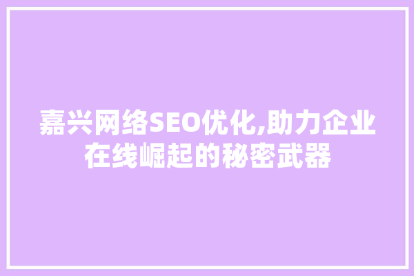 嘉兴网络SEO优化,助力企业在线崛起的秘密武器