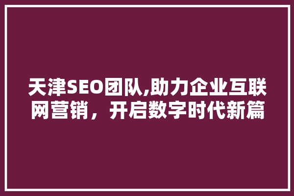 天津SEO团队,助力企业互联网营销，开启数字时代新篇章