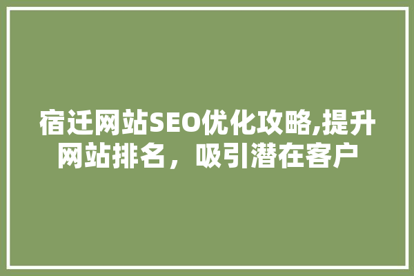 宿迁网站SEO优化攻略,提升网站排名，吸引潜在客户 绘影字幕