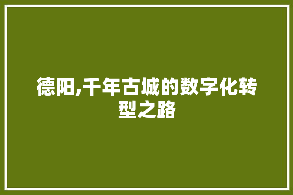 德阳,千年古城的数字化转型之路