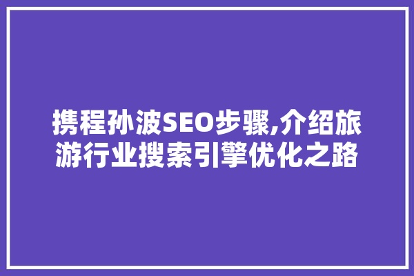 携程孙波SEO步骤,介绍旅游行业搜索引擎优化之路