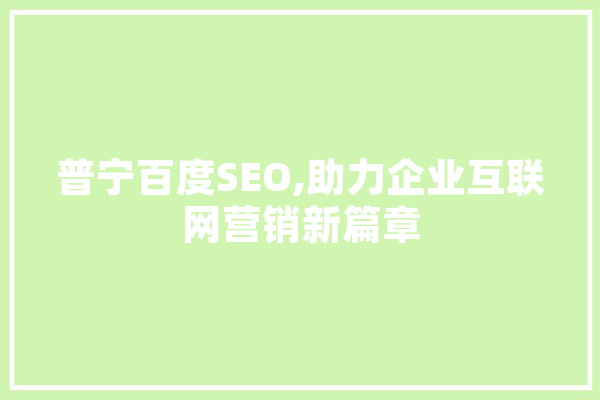 普宁百度SEO,助力企业互联网营销新篇章