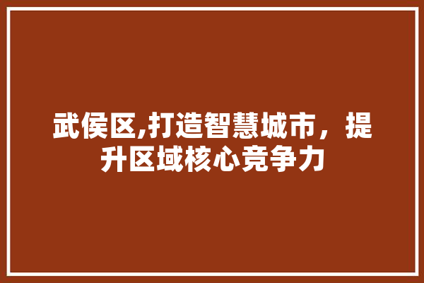 武侯区,打造智慧城市，提升区域核心竞争力